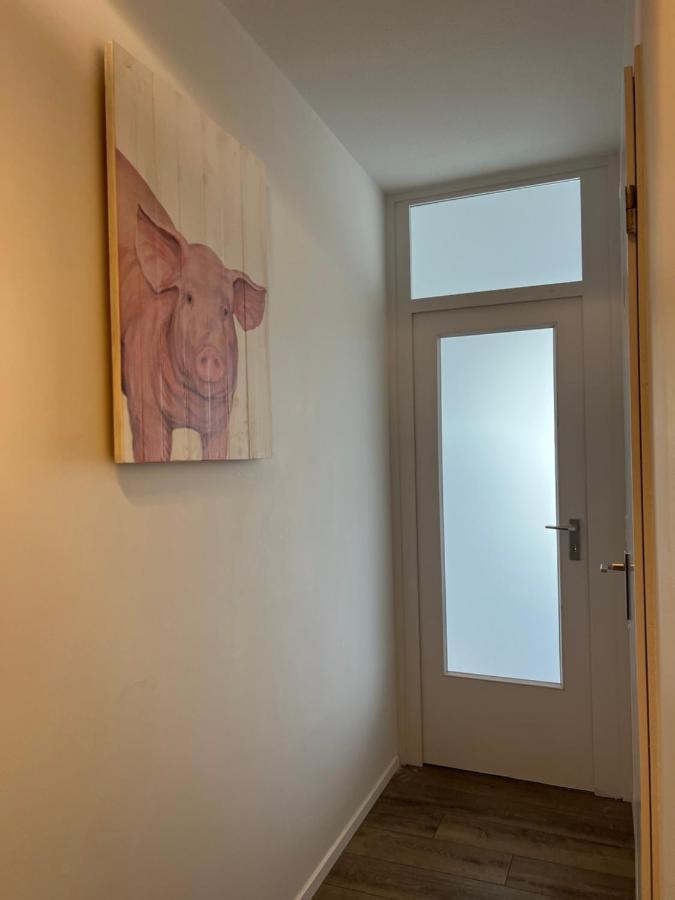 Appartamento Inselblick 2 Schleswig Esterno foto